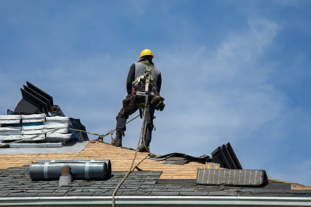 Professional Flat Roof Repair technician working in Gill, CO